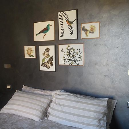 B&B La Casetta Dei Nonni Orvieto Exteriör bild