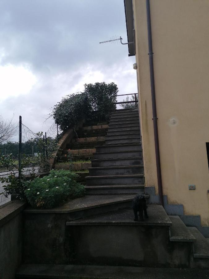 B&B La Casetta Dei Nonni Orvieto Exteriör bild