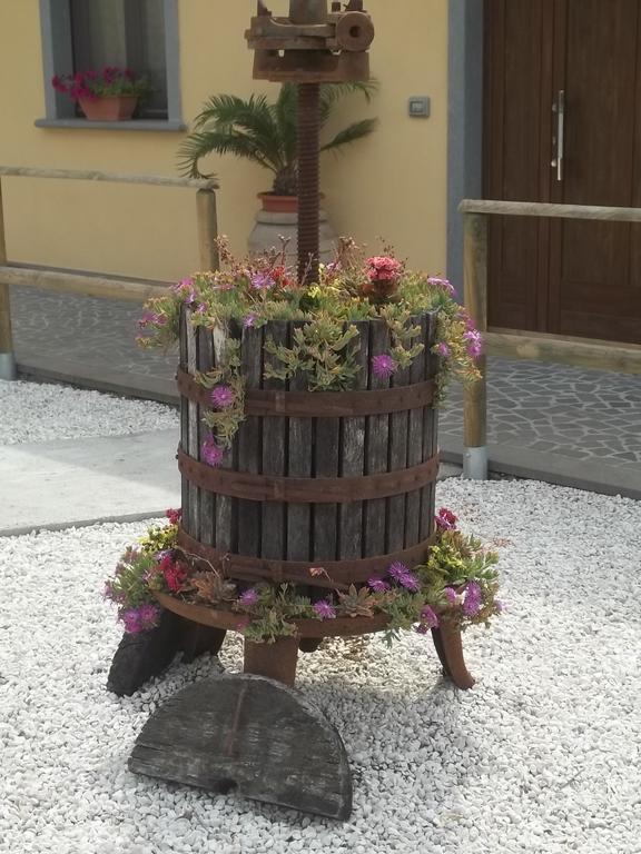 B&B La Casetta Dei Nonni Orvieto Rum bild