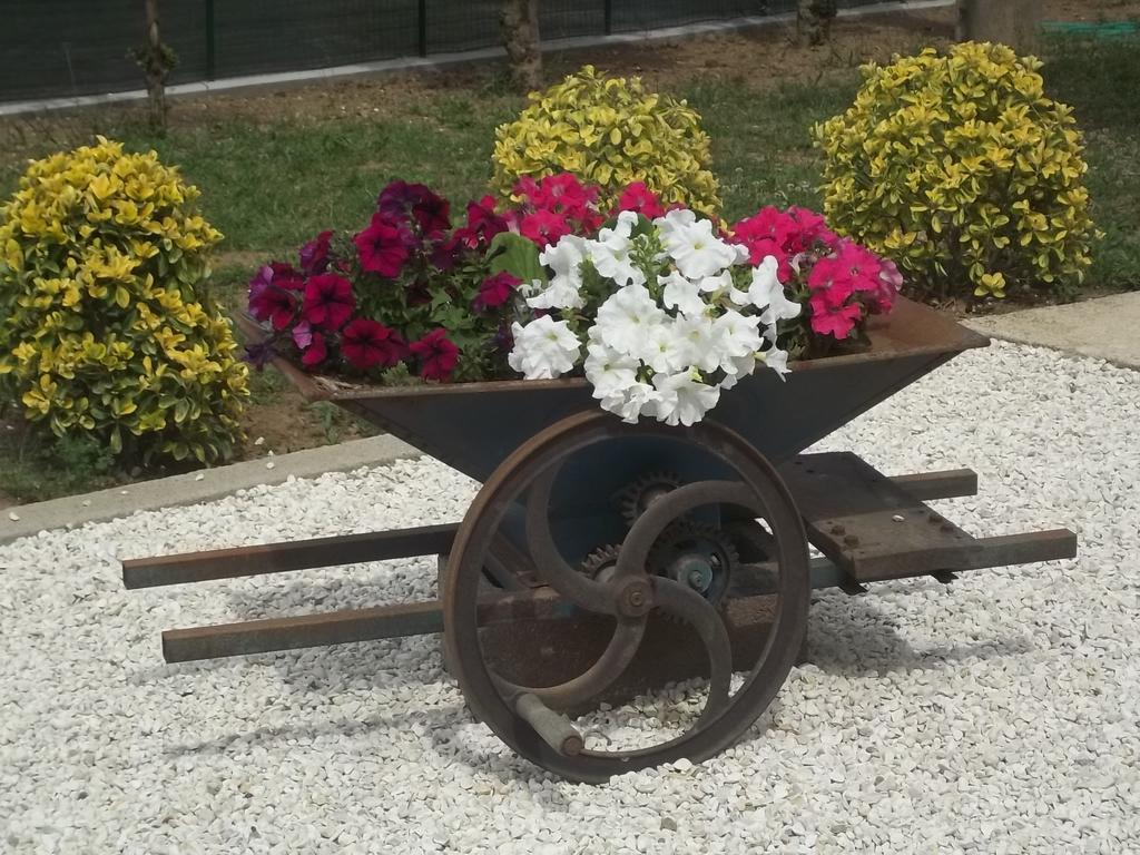 B&B La Casetta Dei Nonni Orvieto Rum bild