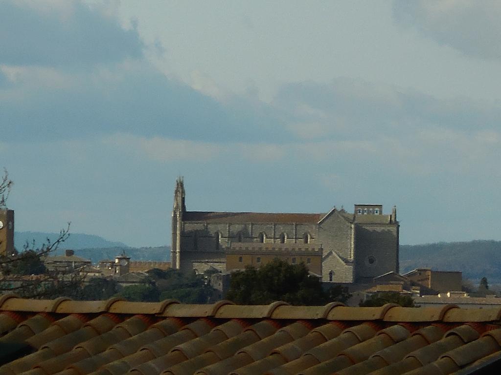 B&B La Casetta Dei Nonni Orvieto Exteriör bild