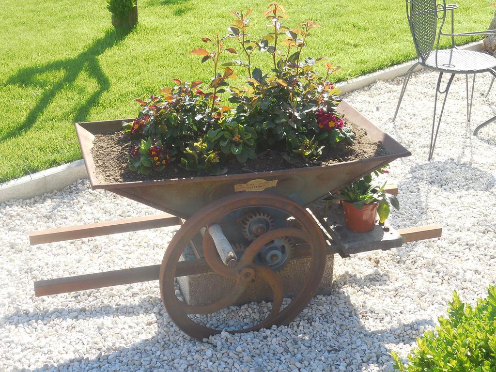 B&B La Casetta Dei Nonni Orvieto Exteriör bild